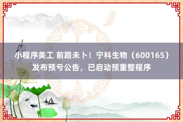 小程序美工 前路未卜！宁科生物（600165）发布预亏公告，已启动预重整程序