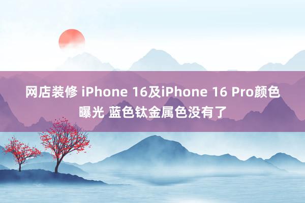 网店装修 iPhone 16及iPhone 16 Pro颜色曝光 蓝色钛金属色没有了